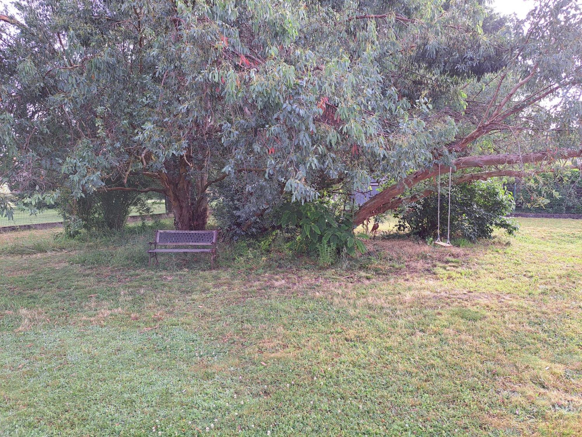 A La Source Villa Saint-Medard-de-Guizieres Ngoại thất bức ảnh
